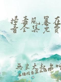 扫毒风暴在线观看全集免费