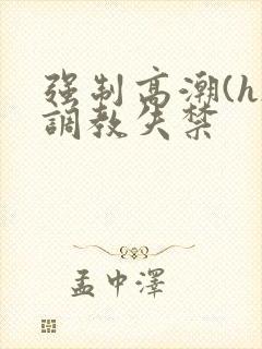 强制高潮(h)调教失禁