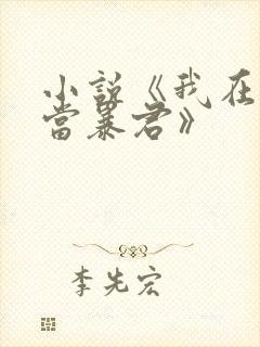 小说《我在大明当暴君》