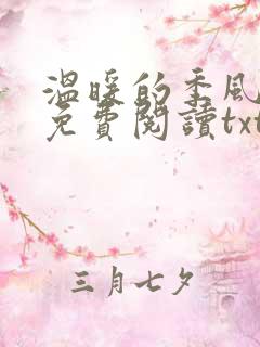 温暖的季风小说免费阅读txt