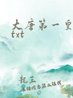大唐第一皇太子txt