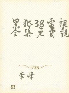 黑狐38电视剧全集免费观看