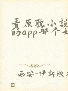 看原耽小说免费的app哪个好