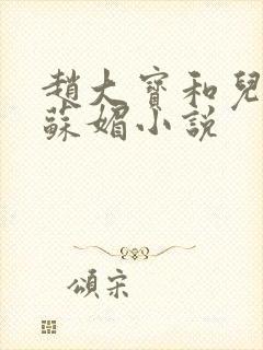 赵大宝和儿媳妇苏媚小说