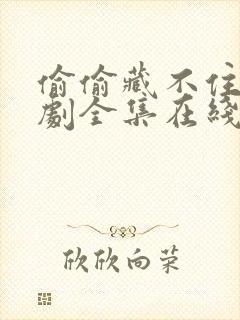 偷偷藏不住电视剧全集在线观看免费