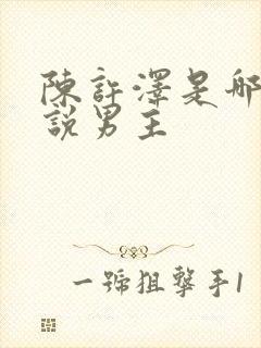 陈许泽是哪本小说男主