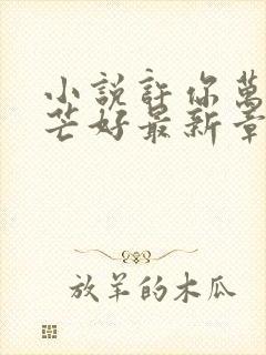 小说许你万丈光芒好最新章节在线