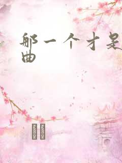 那一个才是你歌曲