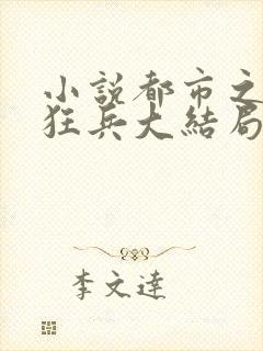 小说都市之最强狂兵大结局