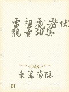 电视剧潜伏免费观看30集