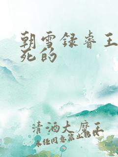 朝雪录睿王怎么死的