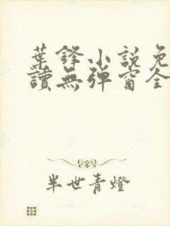 叶锋小说免费阅读无弹窗全文