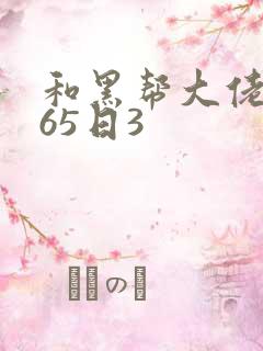 和黑帮大佬的365日3