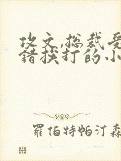 攻文,总裁受犯错挨打的小说