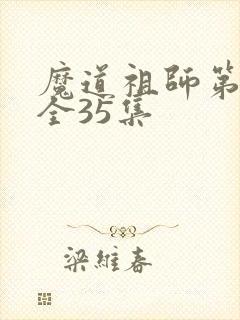 魔道祖师第一季全35集