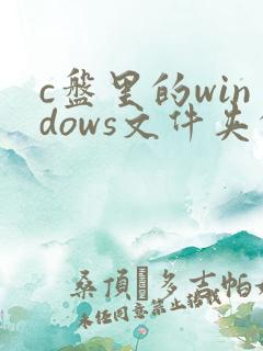 c盘里的windows文件夹的winsxs是什么