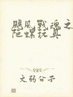 飓风战魂之剑旋陀螺玩具