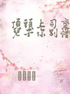 顶头上司变后妈儿子你别懵短剧全集大结局