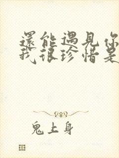 还能遇见你所以我很珍惜是什么歌