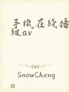 手机在线播放一级av