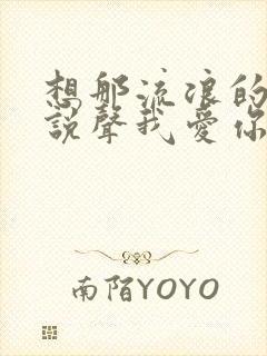 想那流浪的白云说声我爱你歌曲