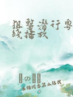 狙击潜行粤语在线播放