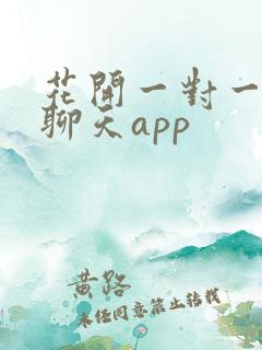 花开一对一视频聊天app