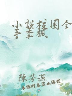 小说校园全能高手季枫