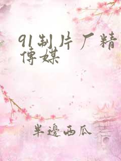 91制片厂精东传媒