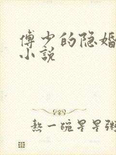 傅少的隐婚娇妻小说