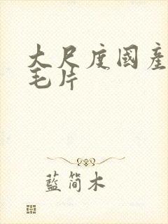 大尺度国产精品毛片