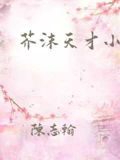 芥沫天才小毒妃