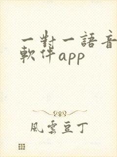 一对一语音聊天软件app