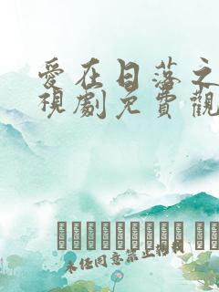 爱在日落之前电视剧免费观看