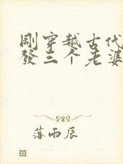 刚穿越古代官府发三个老婆的小说