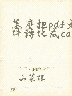 怎么把pdf文件转化成cad尺寸不变