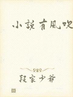 小说有风吹过来