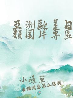 亚洲欧美日韩另类图片专区