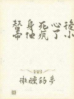 替身死心后,影帝他疯了小说