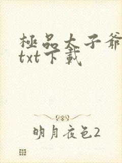 极品太子爷完本txt下载