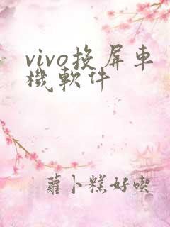 vivo投屏车机软件