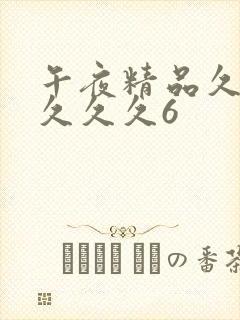 午夜精品久久久久久久6