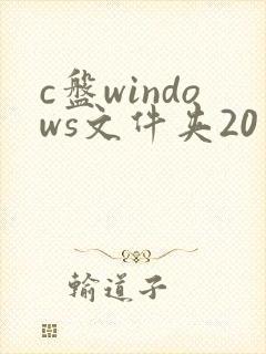 c盘windows文件夹20多g怎么清理