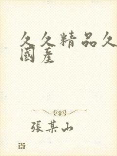 久久精品久久久国产