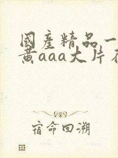 国产精品一级特黄aaa大片在线观看