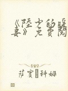 《陆少的暖婚新妻》免费阅读