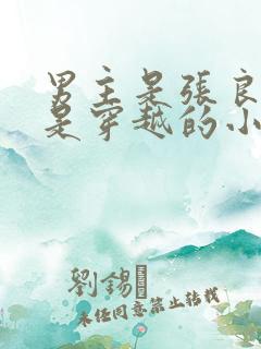 男主是张良女主是穿越的小说