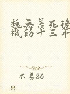 魏无羡死后蓝忘机的十三年