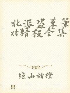 北派盗墓笔记txt精校全集下载