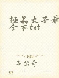 极品太子爷下载全本txt